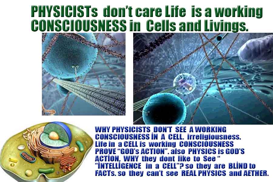 tesla on einstein wrongs